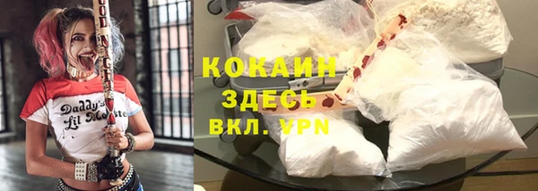 соль ск Горнозаводск