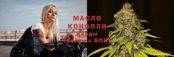 индика Горно-Алтайск