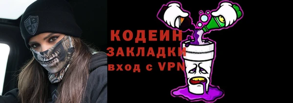 индика Горно-Алтайск