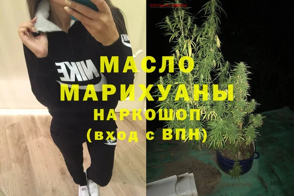 индика Горно-Алтайск