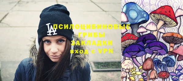 соль ск Горнозаводск
