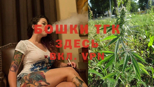 соль ск Горнозаводск