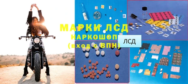индика Горно-Алтайск