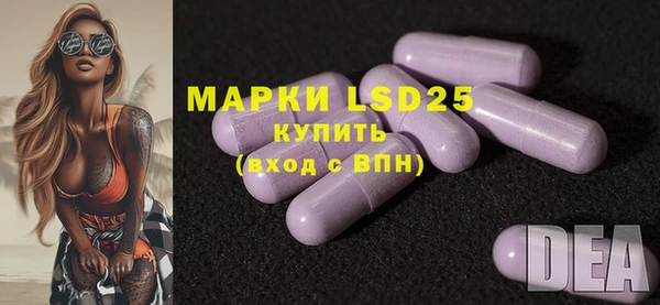 индика Горно-Алтайск